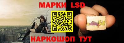 стафф Краснодар