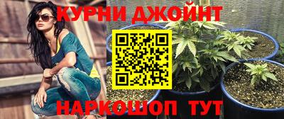 стафф Краснодар