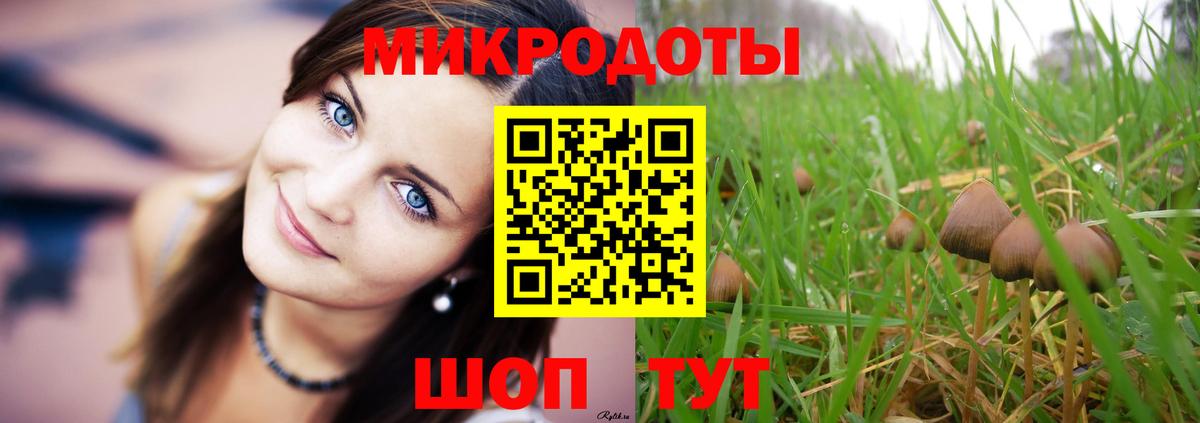 Галлюциногенные грибы Psilocybine cubensis  Вход с VPN  Каменск-Шахтинский 