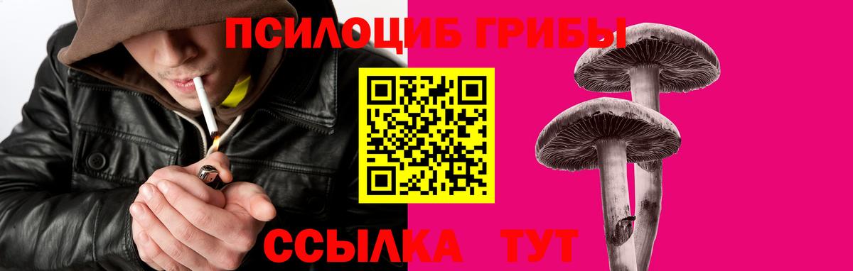 Псилоцибиновые грибы Magic Shrooms Каменск-Шахтинский